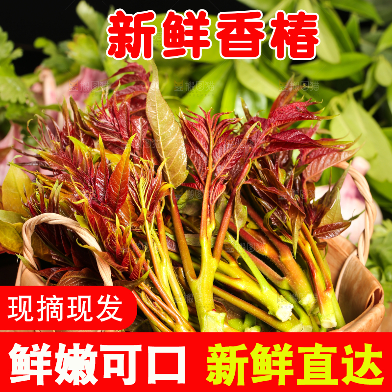 木底上摆放着一把香椿