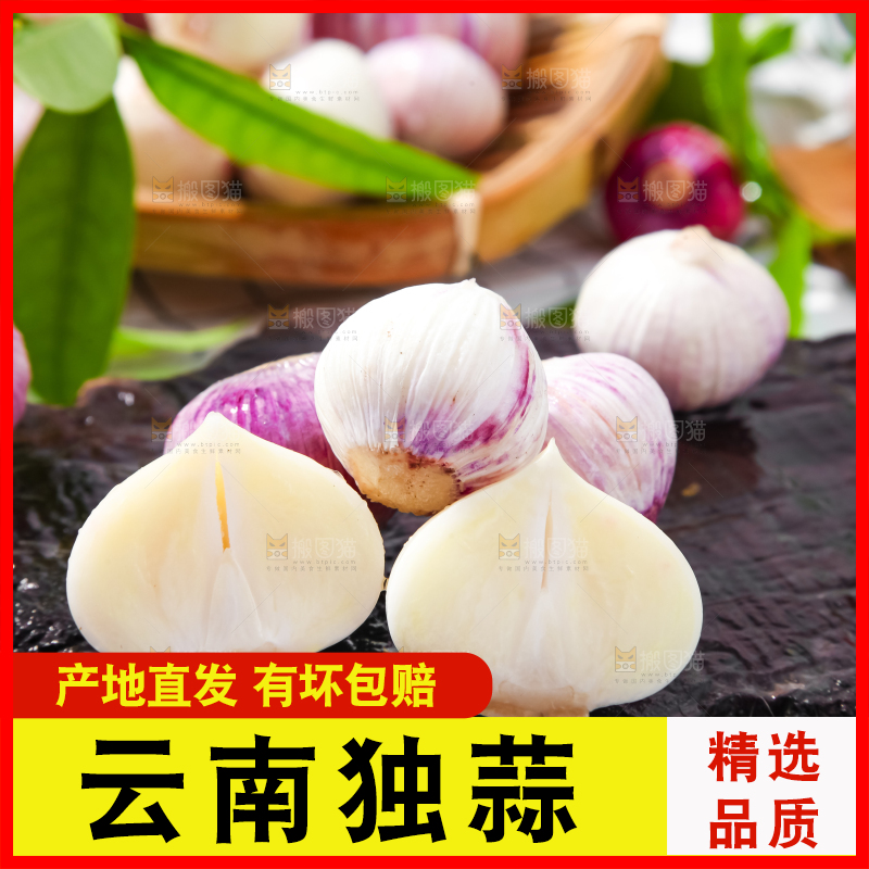 深底上摆放着紫皮独蒜