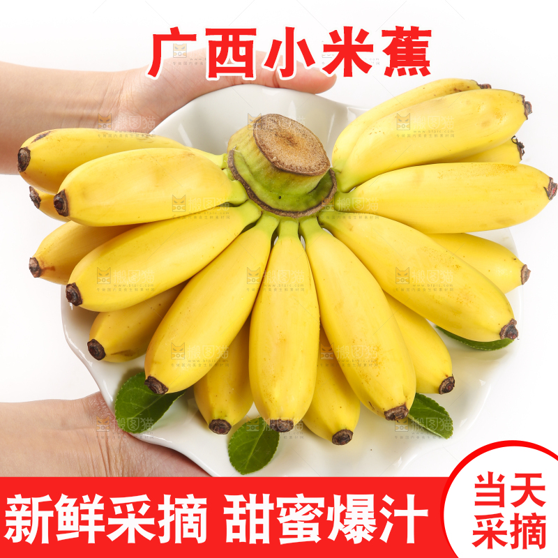 手里拿着新鲜小米蕉