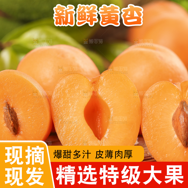 木底上摆放着烟台杏子