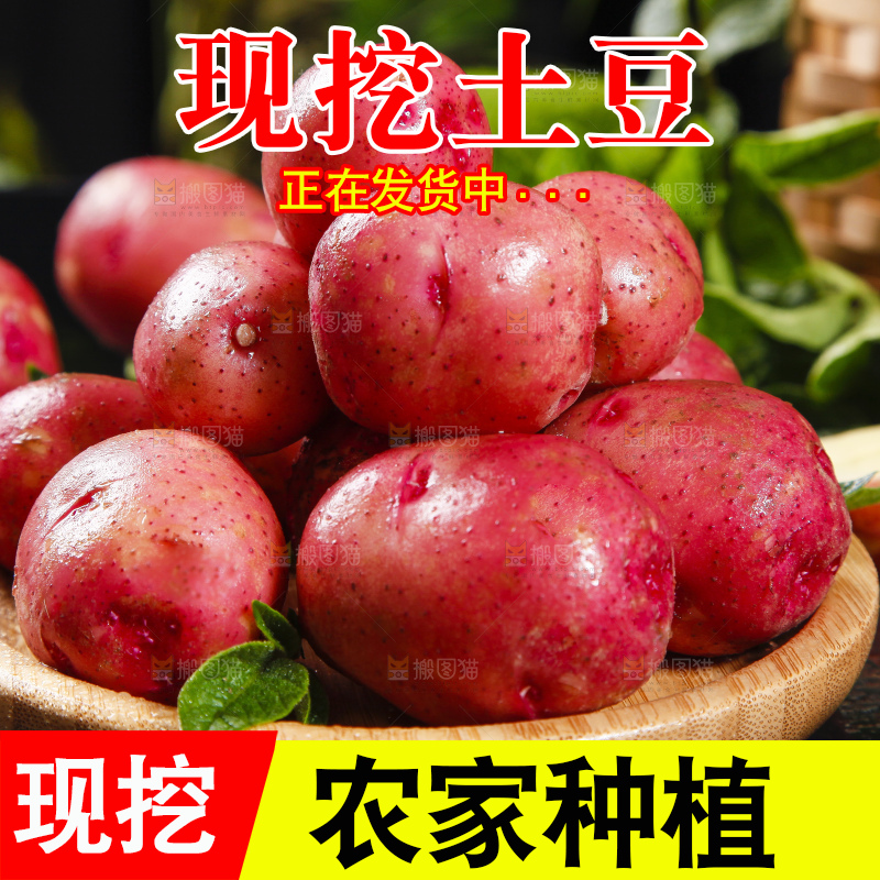 深底上摆放着红皮小土豆