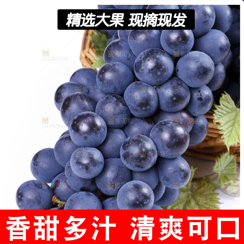 白底上放着云南夏黑葡萄