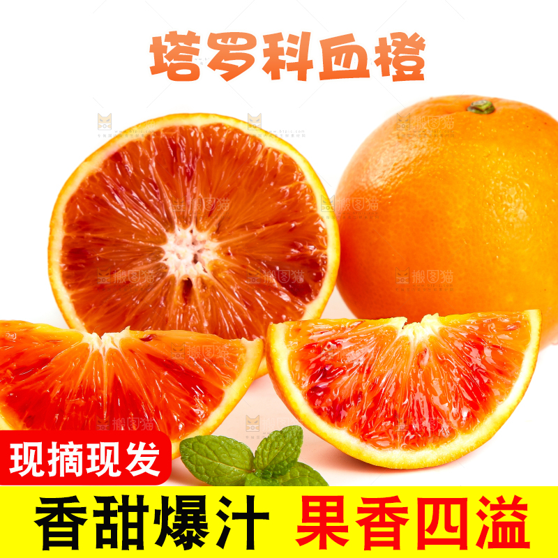 白底上的玫瑰血橙