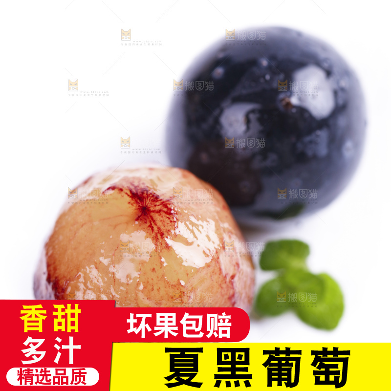 白底上摆放着夏黑葡萄