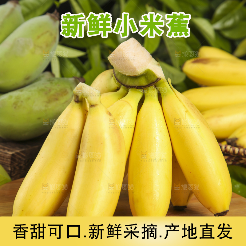 木底上摆放着小香蕉