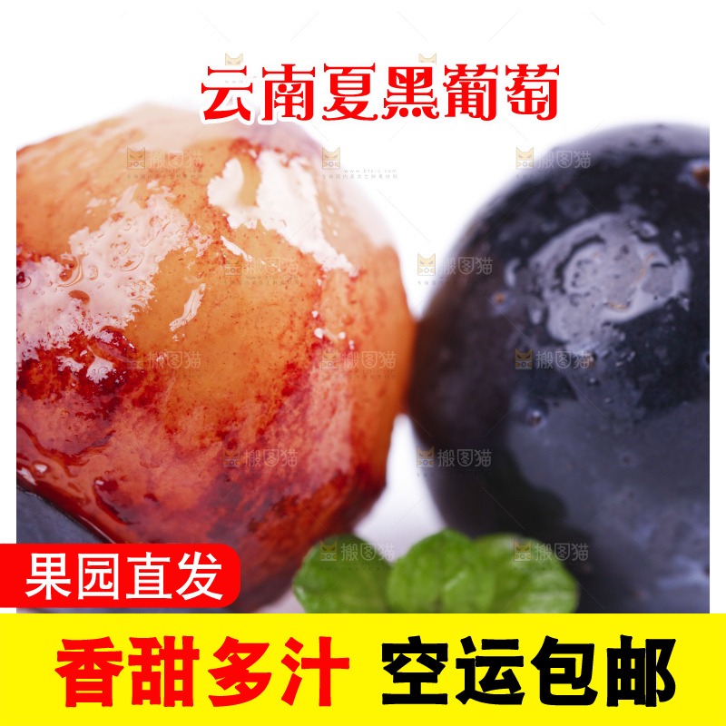 白底上摆放着夏黑葡萄