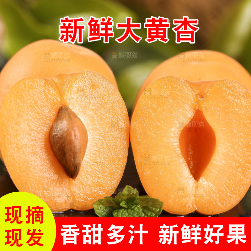 黑底上摆放着头茬大黄杏