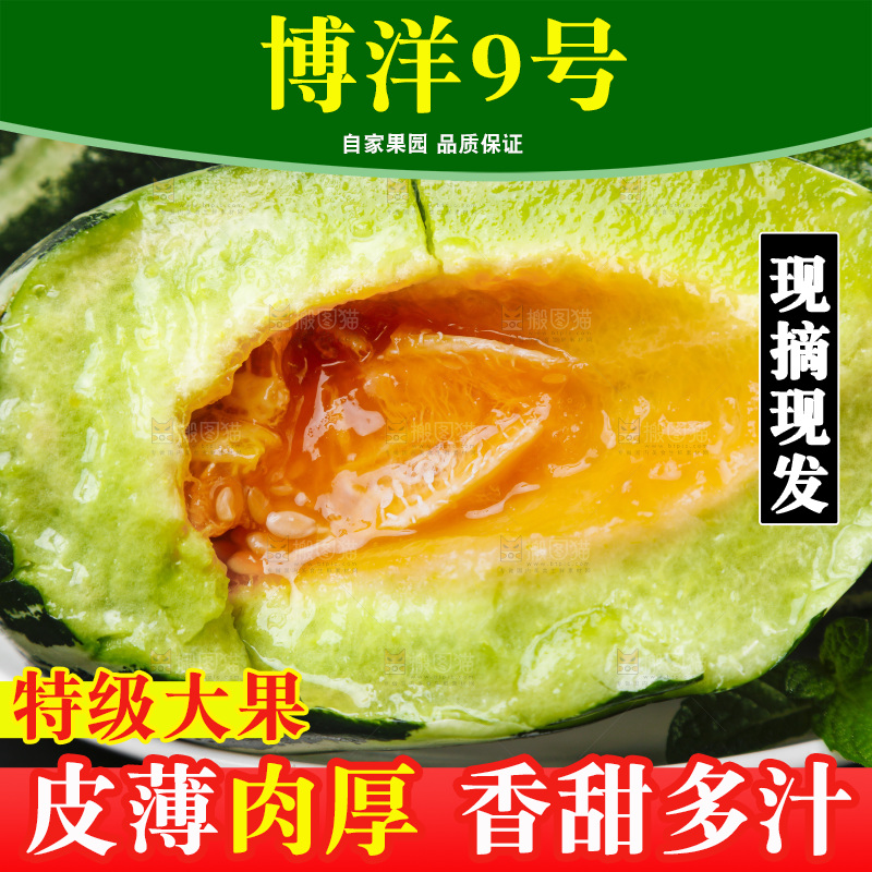 盘子里装着博洋蜜脆甜瓜