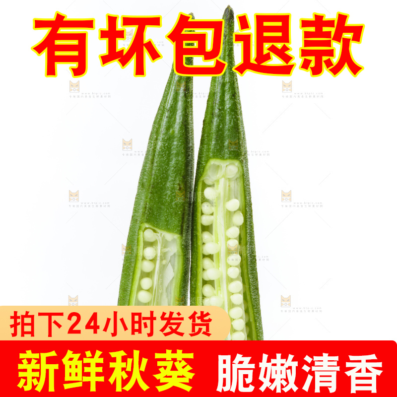 白底上摆放着秋葵