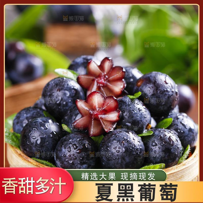 篮子里装着夏黑葡萄