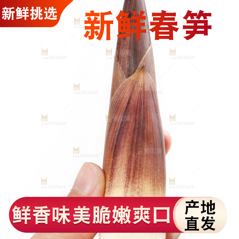 手里拿着嫩竹笋