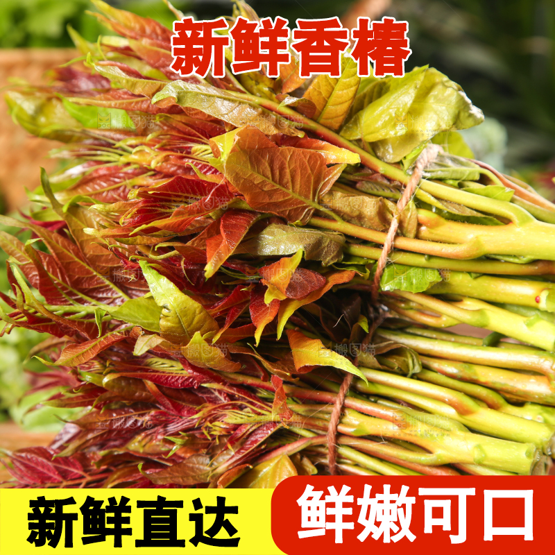 木板上放着香椿芽
