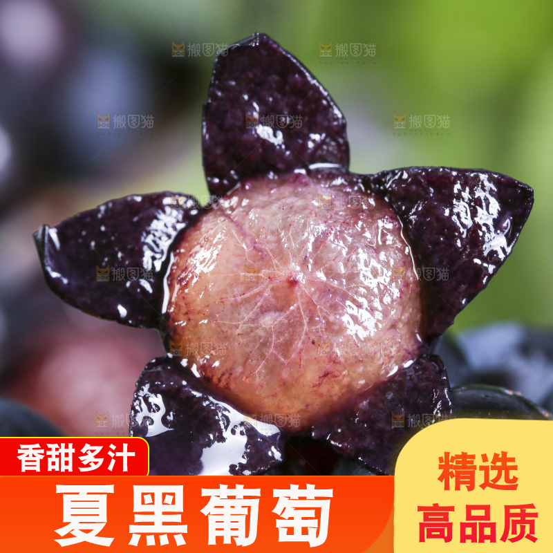 碟子里装着紫葡萄