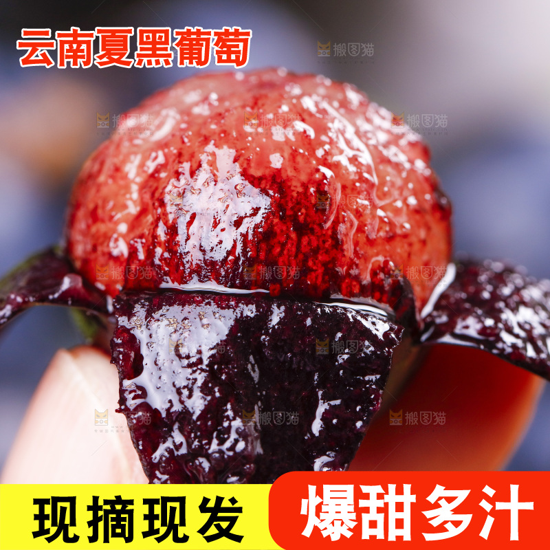 手里拿着夏黑葡萄