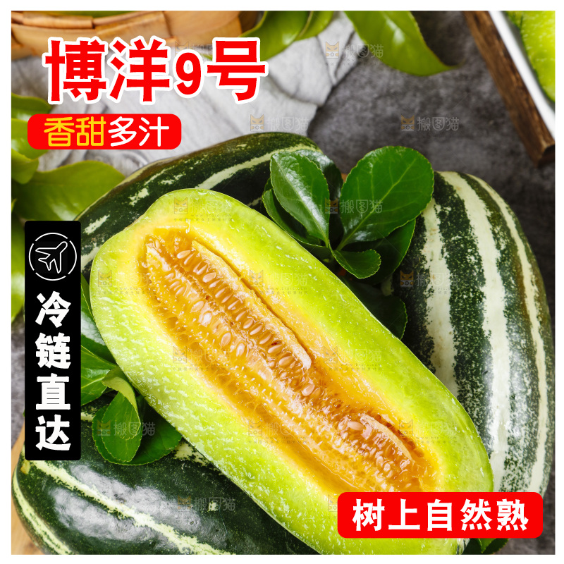 木底上摆放着美洋甜瓜