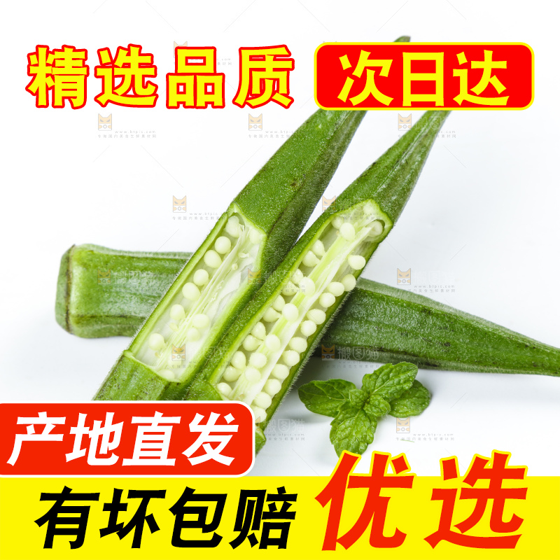 白底上摆放着秋葵