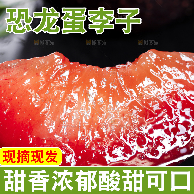黑底上摆放着智利进口恐龙蛋