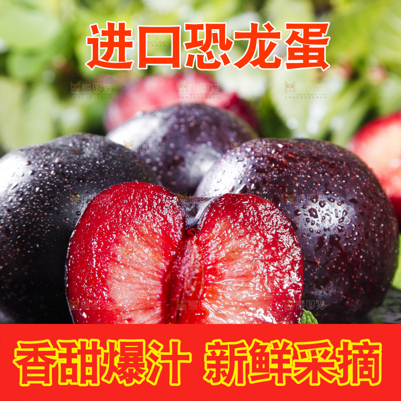 深底上摆放着恐龙蛋李