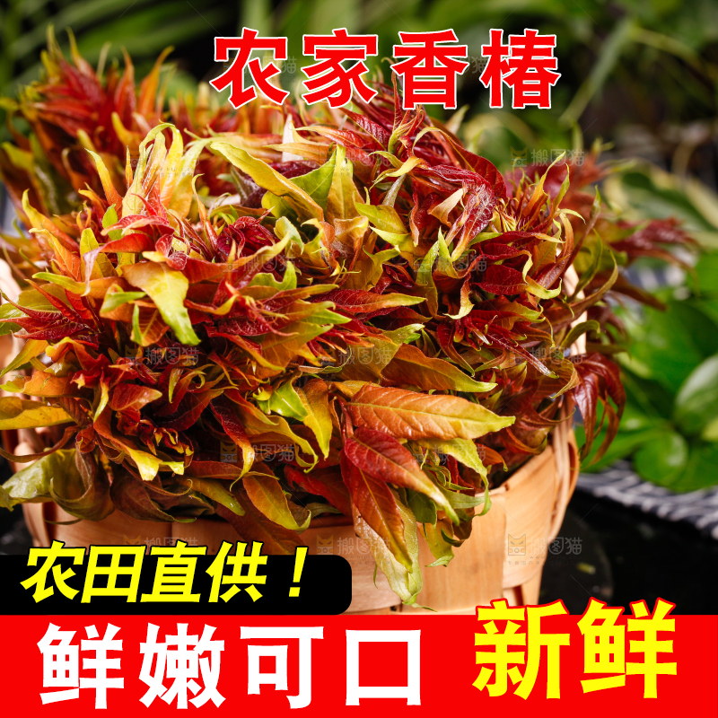 篮子里放着香椿芽