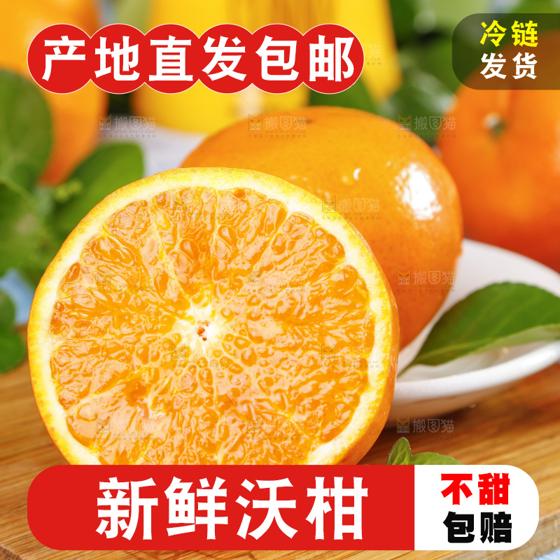 木底上摆放着沃桔