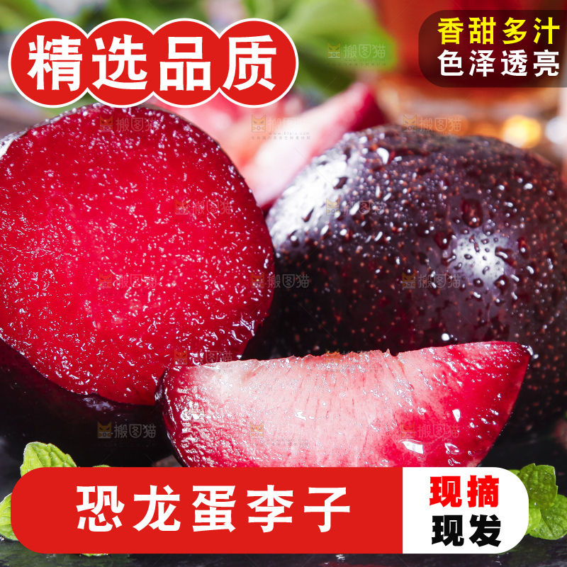 黑底上摆放着智利进口恐龙蛋
