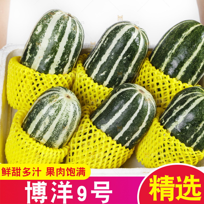手里拿着一箱博洋甜瓜