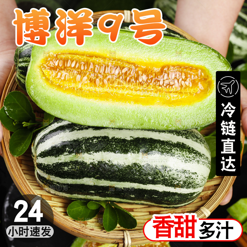手里拿着一篮博洋甜瓜