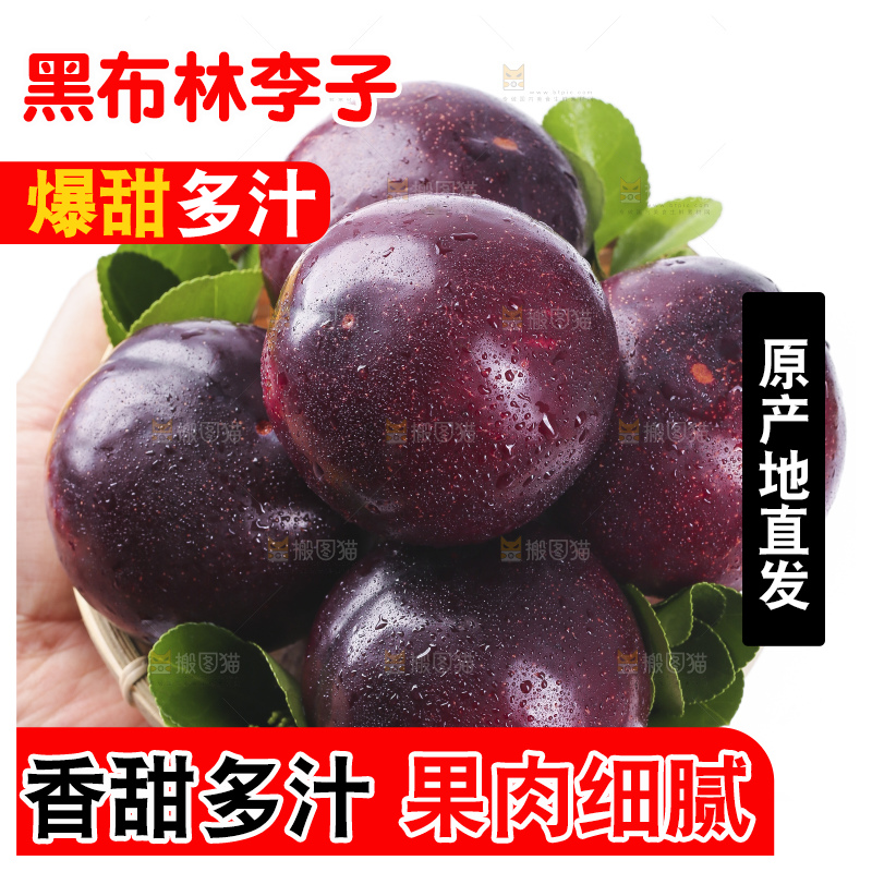 手里拿着一盘黑布朗