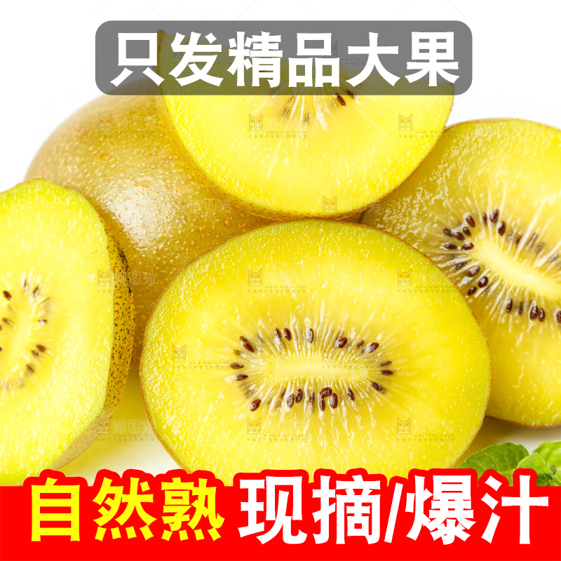 白底上摆放着新鲜黄心猕猴桃