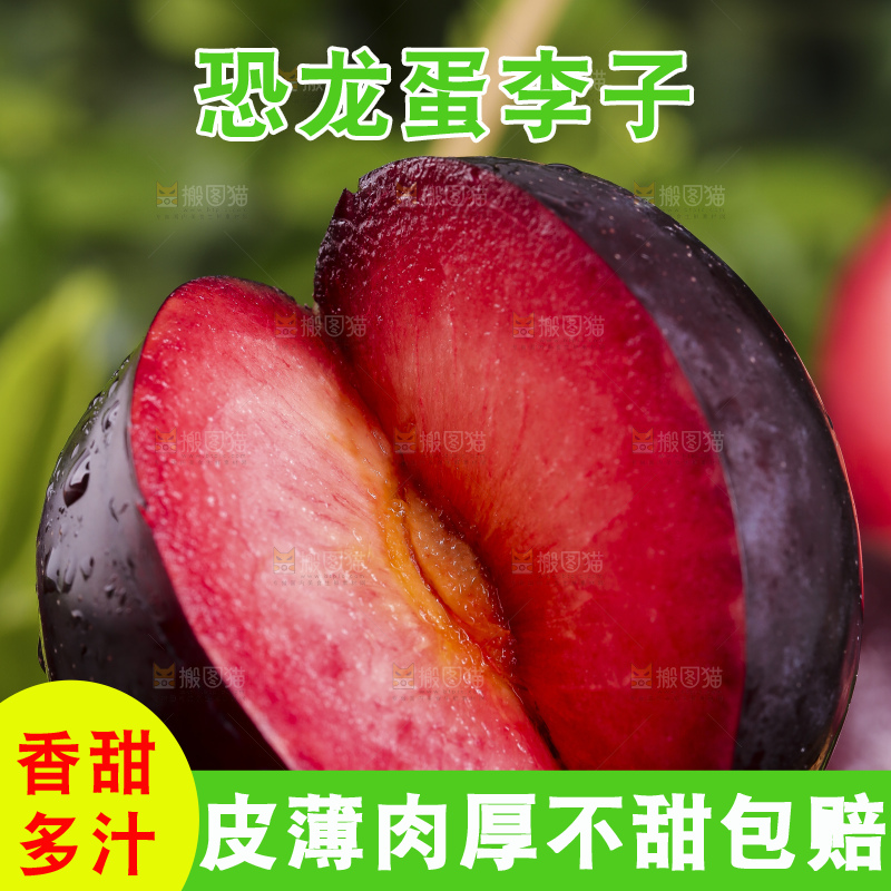 黑底上摆放着恐龙蛋