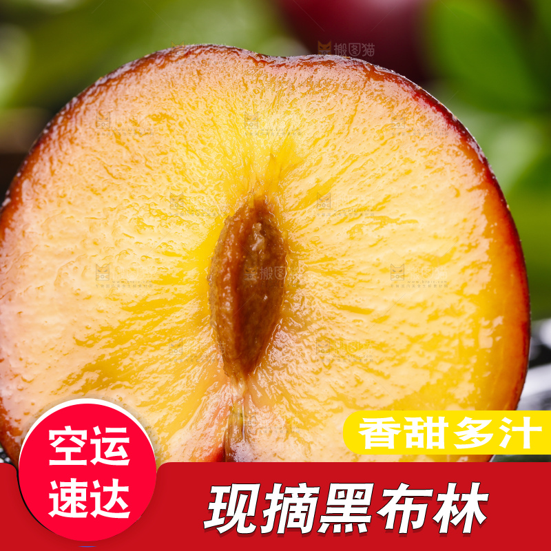 黑底上放着黑布朗