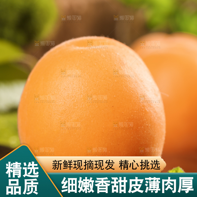 深底上摆放着烟台杏子