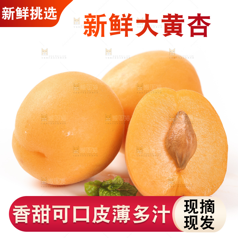 白底上摆放着秦岭头茬大黄杏