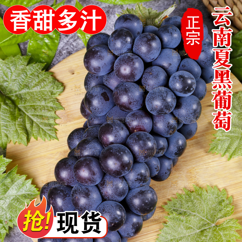 木底上摆放着夏黑无籽葡萄