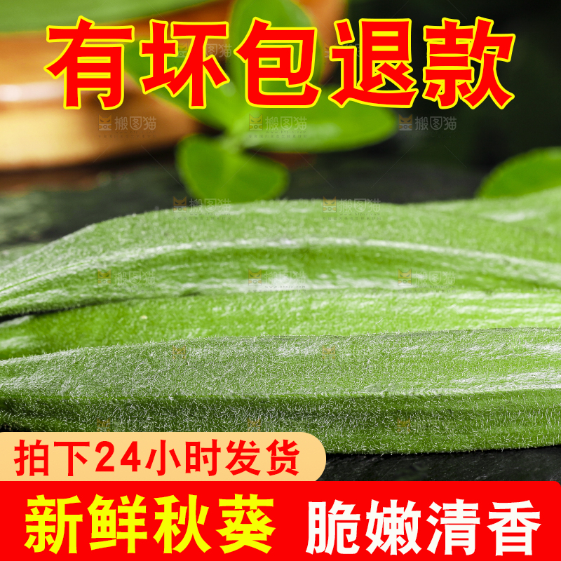 黑底上摆放着山东新鲜秋葵