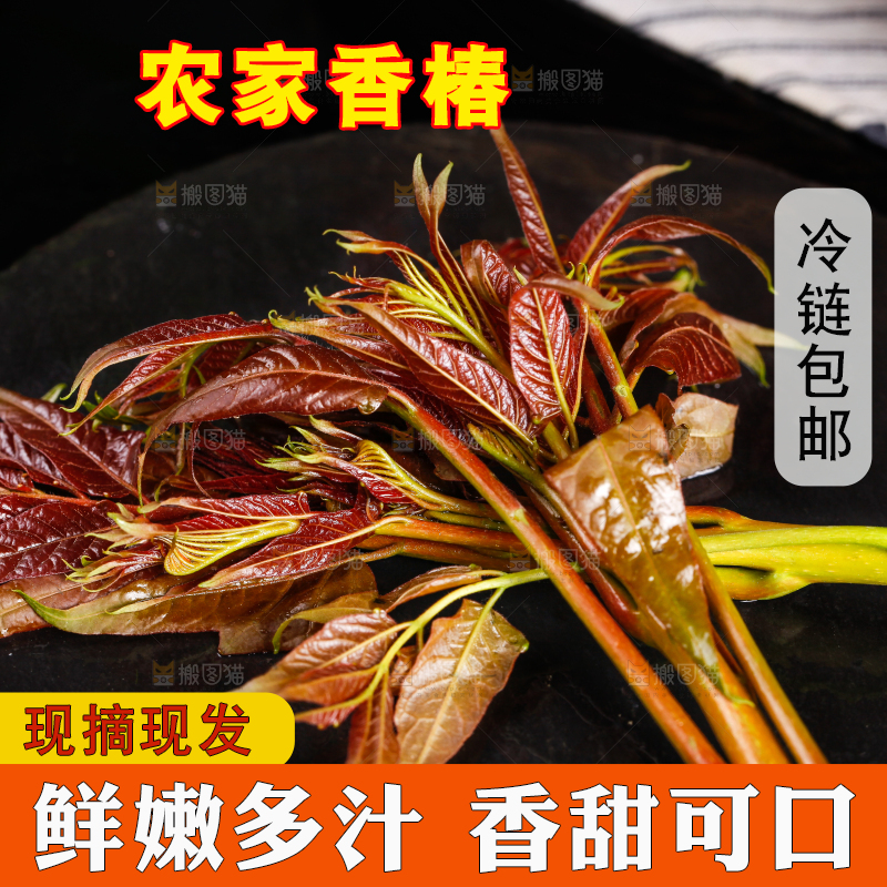 深底上放着香椿芽