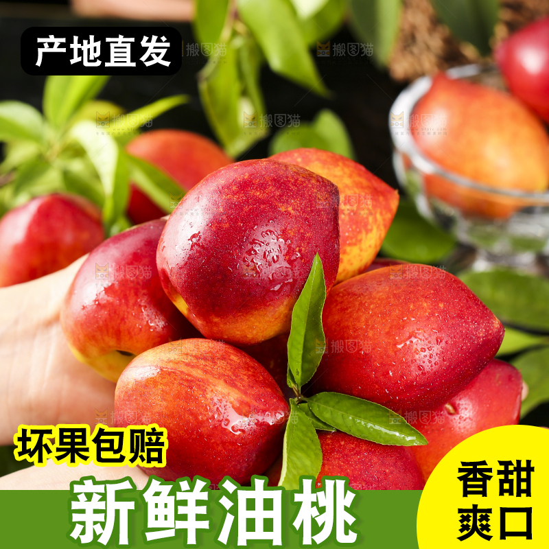 手里捧着大连油桃