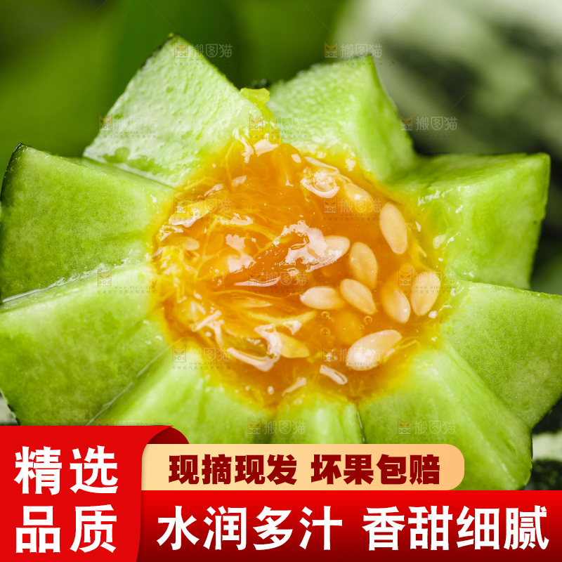 黑底上放着新鲜博洋9号甜瓜