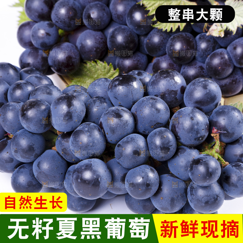 白底上摆放着巨峰葡萄