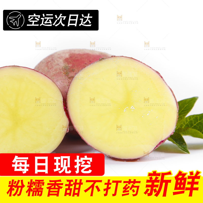 白底上摆放着红皮黄心土豆