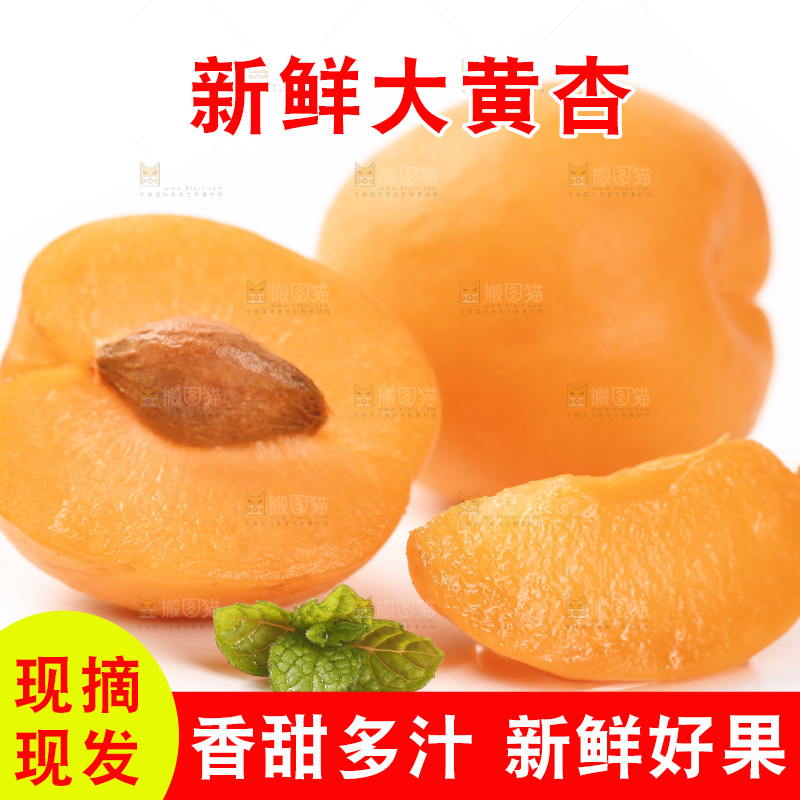 白底上摆放着秦岭头茬大黄杏