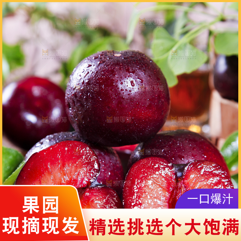 深底上摆放着恐龙蛋李