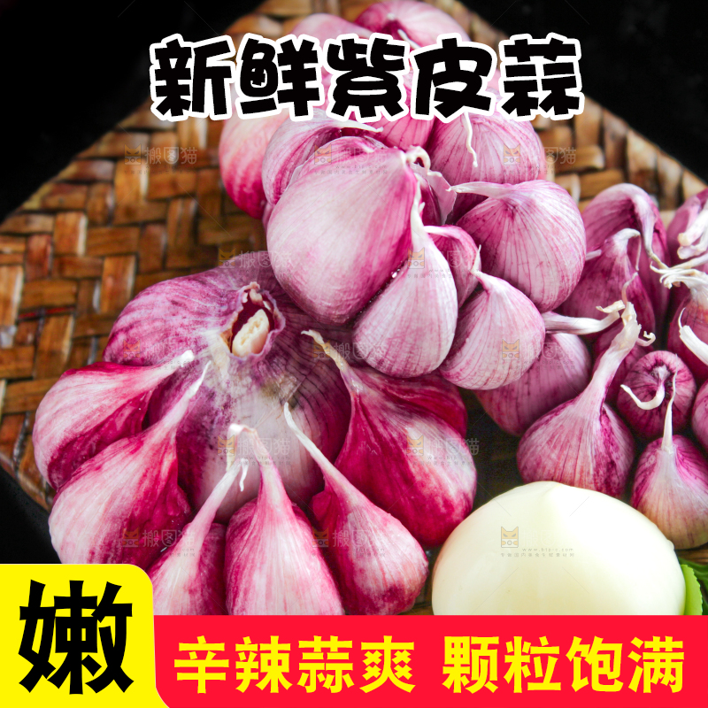 深底上摆放着紫皮多瓣蒜