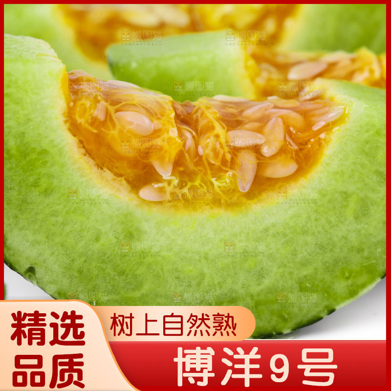 白底上放着博洋甜瓜