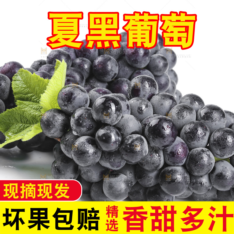 白底上放着夏黑葡萄