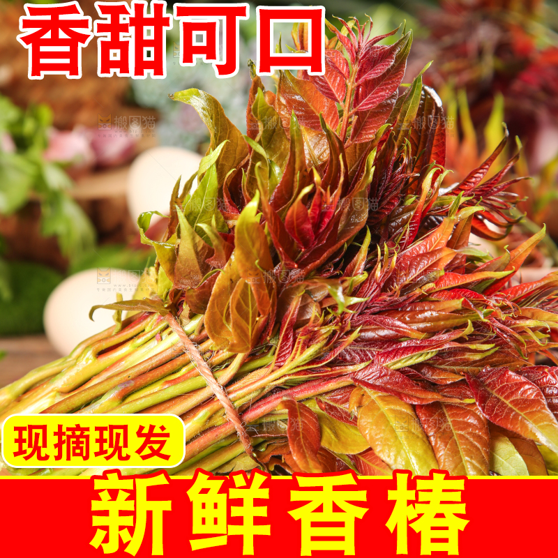 木板上放着香椿芽