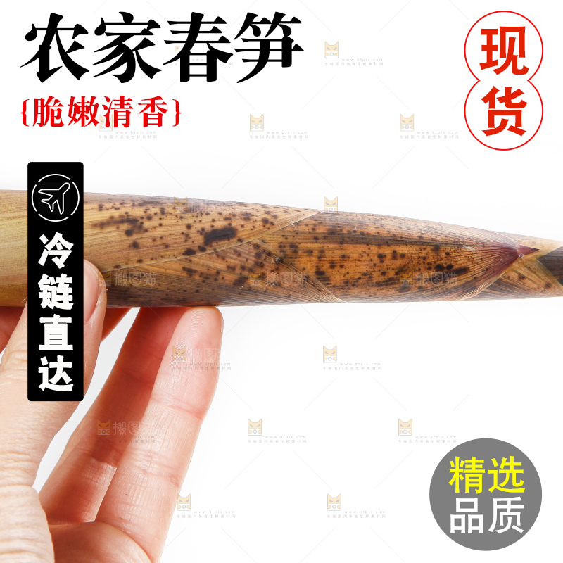 手里拿着嫩竹笋