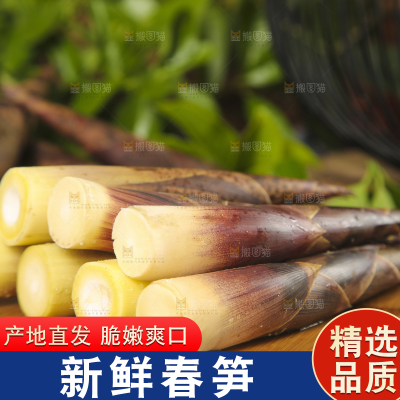 木底上摆放着春笋