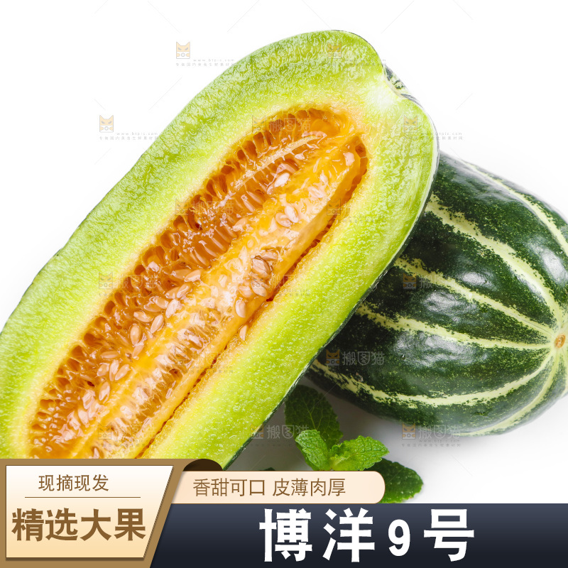 白底上放着博洋蜜脆甜瓜