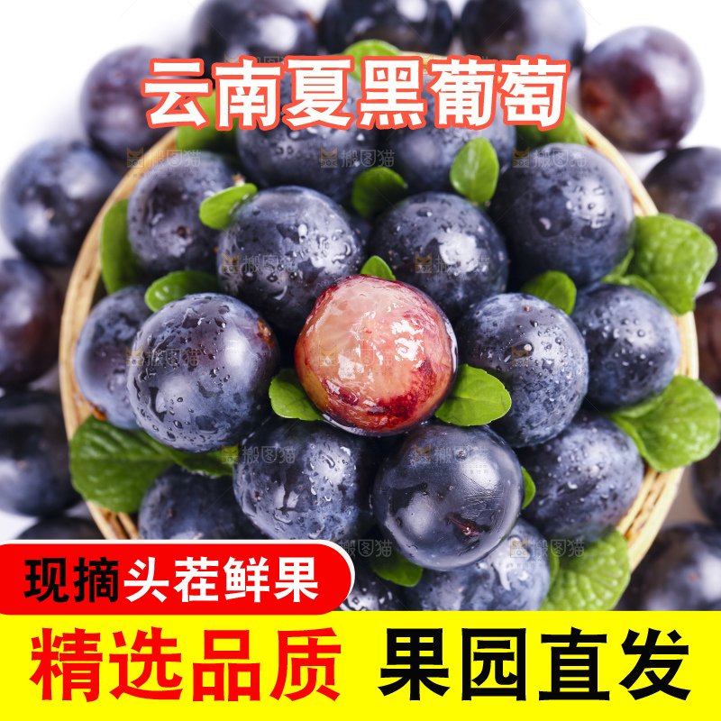 白底上摆放着夏黑
